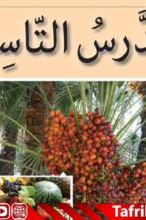 جزوه درس نهم 9 عربی پایه هفتم (الاسرة الناجحة) | PDF