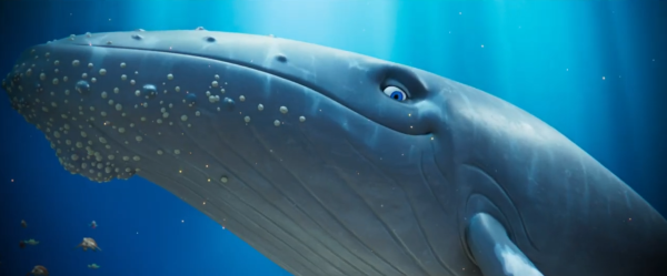 دانلود انیمیشن آخرین نهنگ آوازخوان The Last Whale Singer 2026 2 دانلود انیمیشن آخرین نهنگ آوازخوان The Last Whale Singer 2026