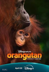 دانلود فیلم اورانگوتان Orangutan 2026 دانلود فیلم اورانگوتان Orangutan 2026