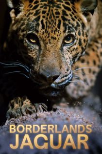 دانلود مستند جگوار سرزمین‌های مرزی Borderlands Jaguar 2026