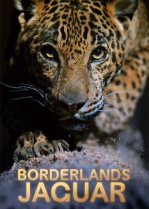 دانلود مستند جگوار سرزمین‌های مرزی Borderlands Jaguar 2026