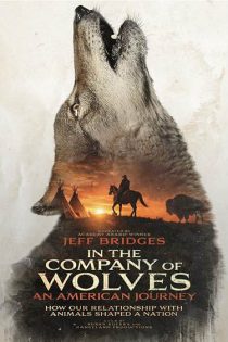 دانلود فیلم در کنار گرگ ها: سفری آمریکایی In the Company of Wolves: An American Journey 2026